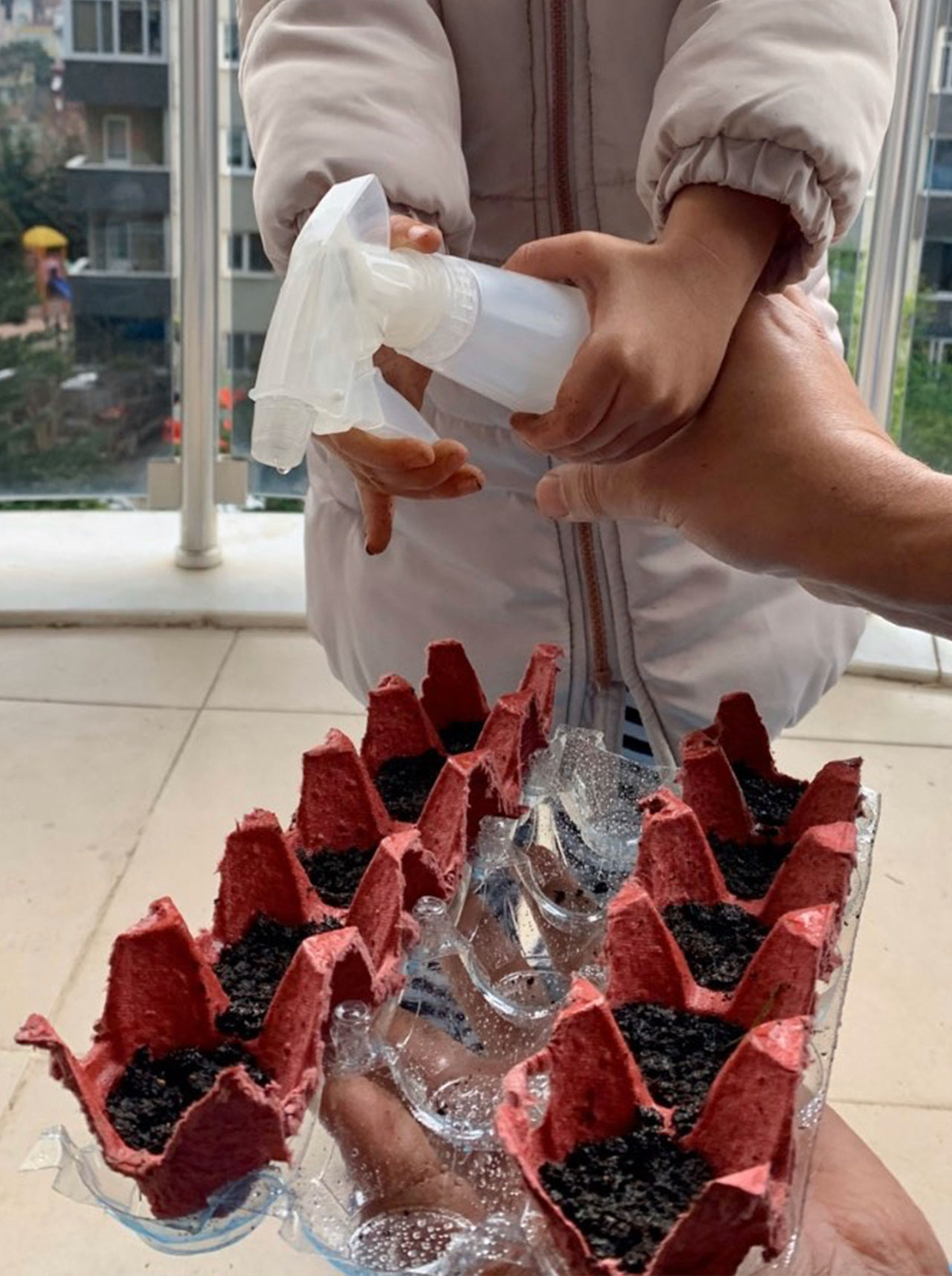 Çekirdekten Limona - Tohumlar Ekildi